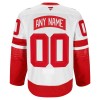 Detroit Red Wings tröja Customized Fanatics Premium NHL Stadium Series 2024-25 Vit - NHL Tröjor Herr